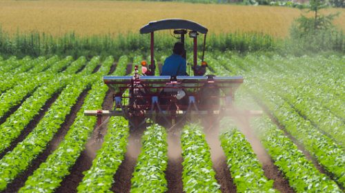 agriculture industry 1